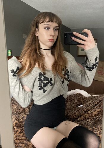 phoebefawn